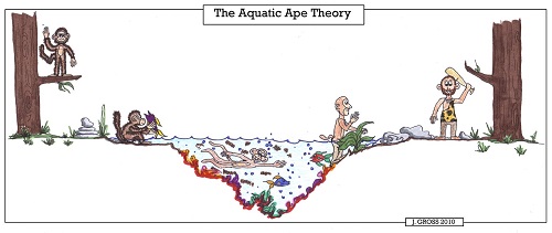 Aquatic-Ape-Theory.jpg